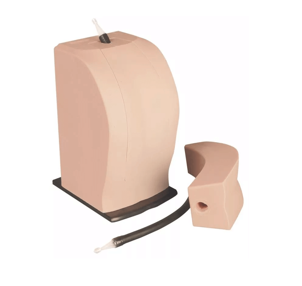 THORAXIS Thoraxsimulator für rückenmarksnahe Anästhesie - Erler - Zimmer